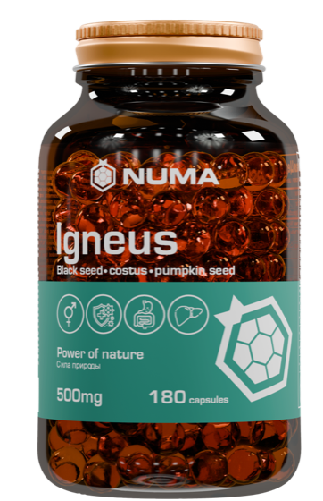 Numa Igneus, 180 kapsul